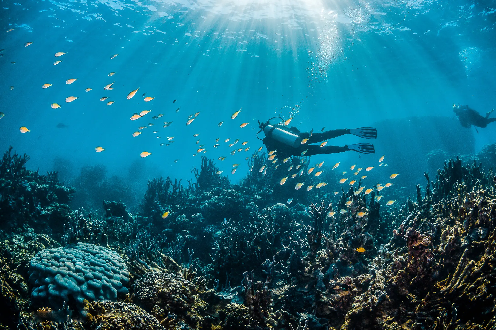 Buceo en Sanxenxo